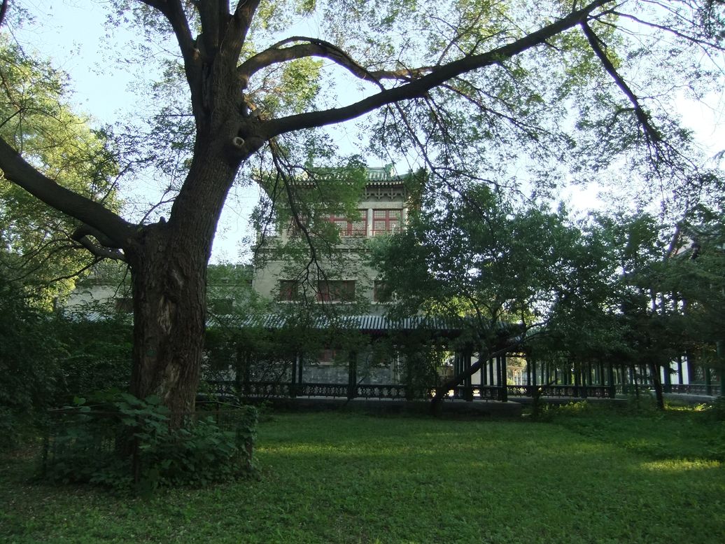 原辅仁大学花园