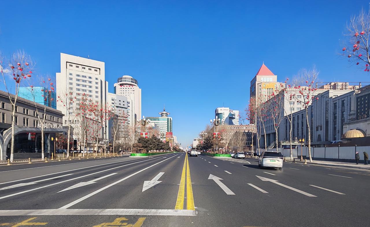 2025年拍摄的人民大街街景，行道树在冬日光线下列植于道路两侧