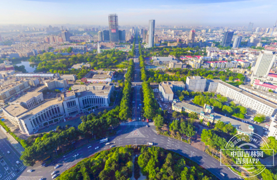 人民大街四排行道树航拍全景，路中隔离带两排、两侧人行道各一排的布局一目了然