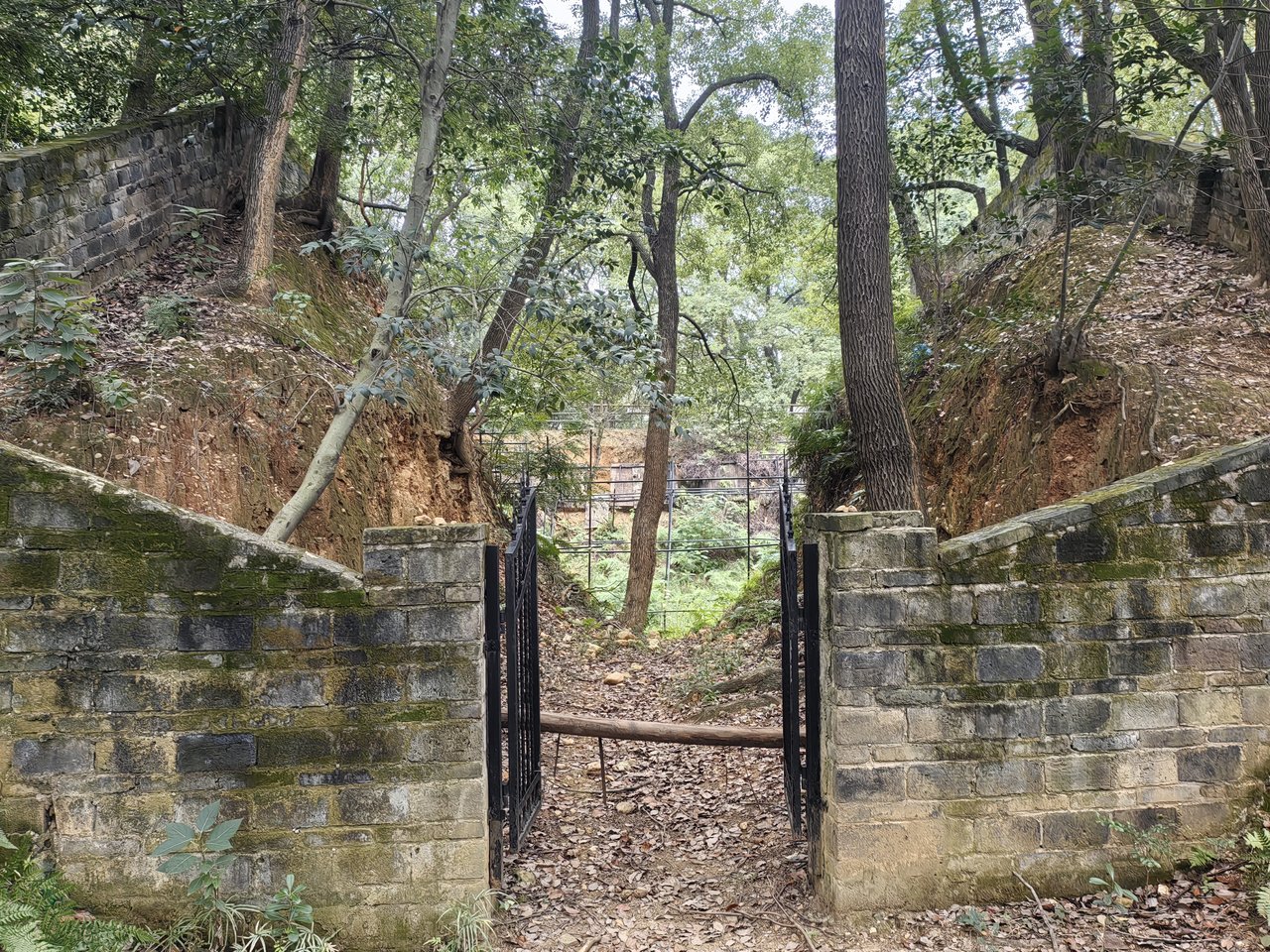 王陵公园中的封土堆，城市住宅楼紧邻其旁