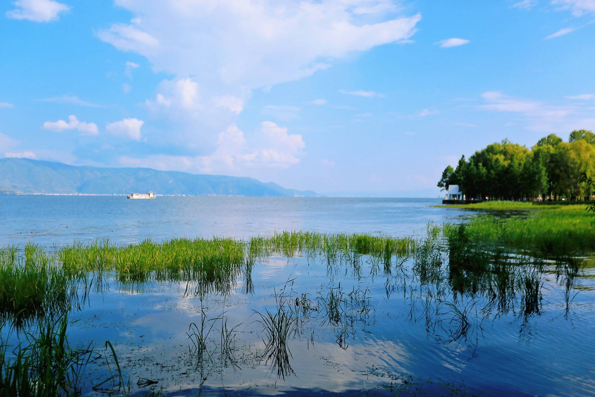 A calm lake with lush green grass in the foreground, a boat on the water, and a row of trees along t