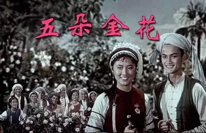 《五朵金花》展区：博物馆专门陈列该片剧照、海报和拍摄道具，是理解大理旅游形象如何被电影制造的核心展区