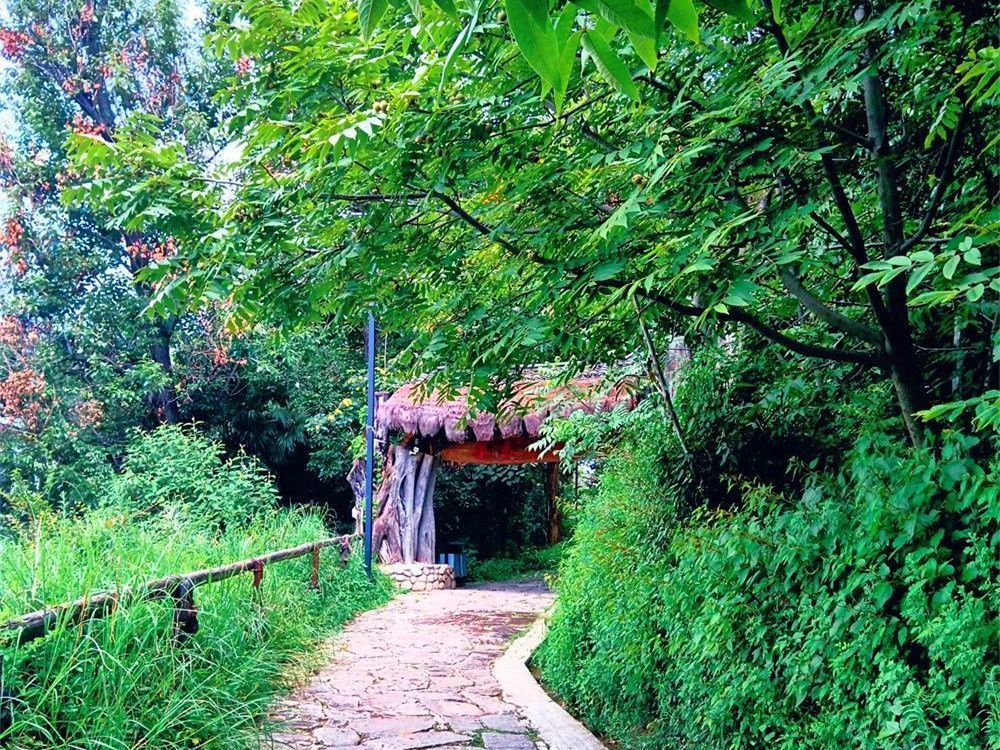 凤阳邑古道穿行于村落间的青石板路面
