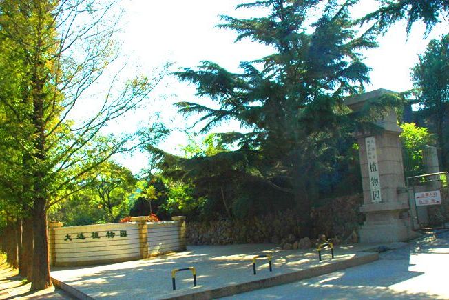 A stone monument dedicated to Lu Xun is situated among lush green trees at Dalia