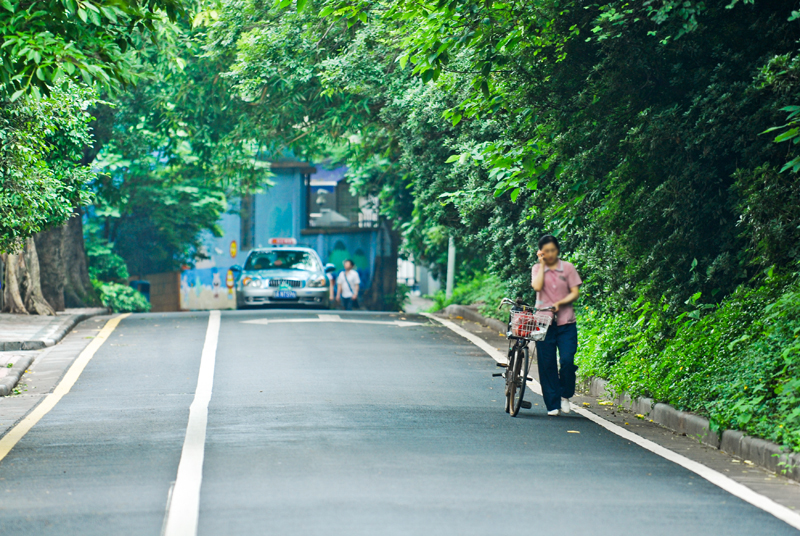 华侨新村的林荫道路与低层别墅群