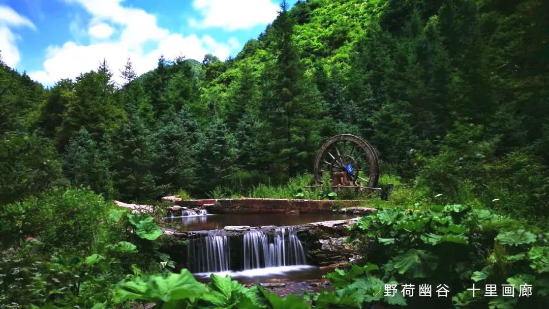 六盘山森林瀑布