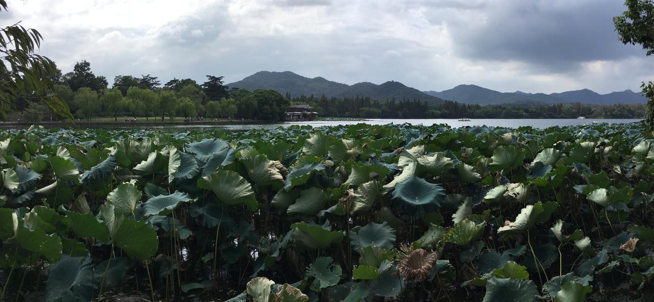 从宝石山俯瞰西湖全景：苏堤、白堤和湖中三岛格局清晰可辨