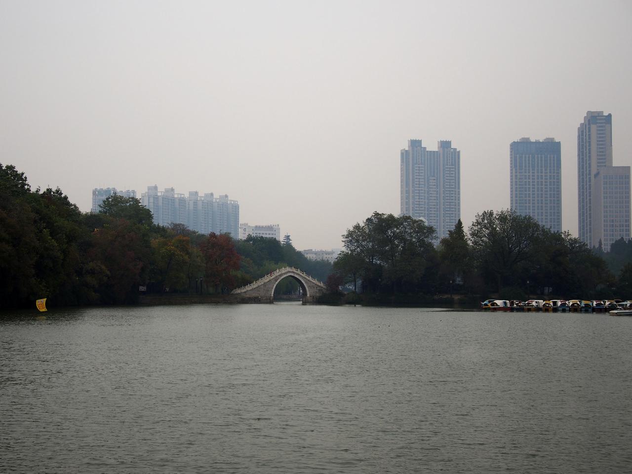 包河水面全景，可见狭长水面、岸线柳树和城市背景