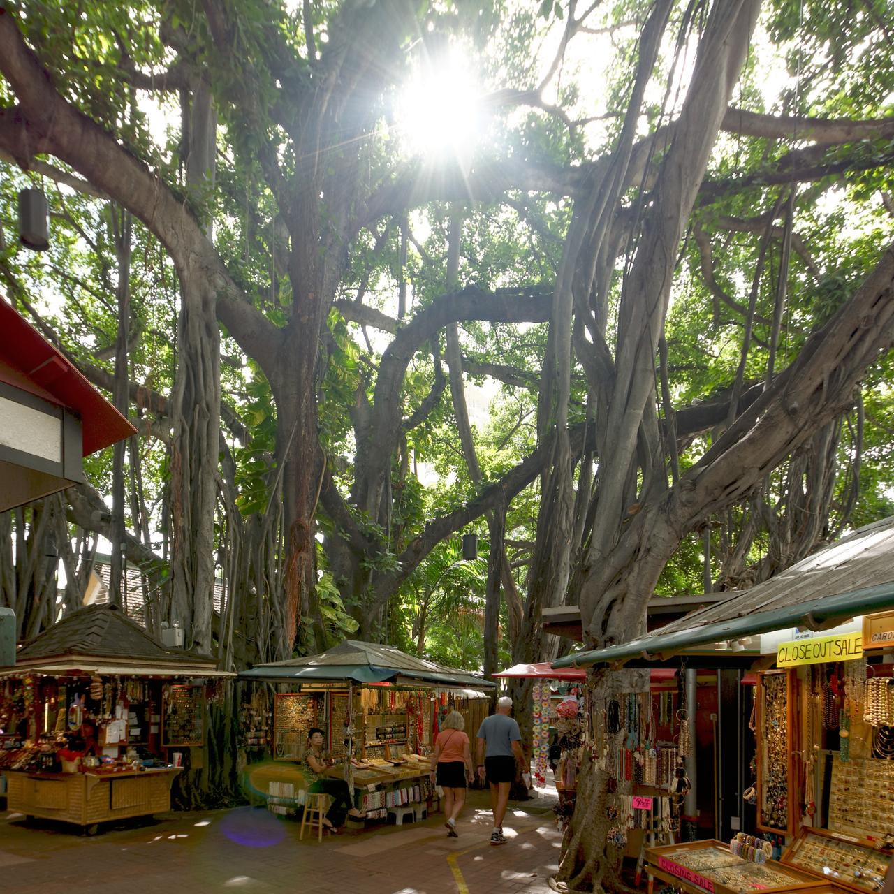 International Market Place 2016 年重开后围绕 banyan tree 的零售界面和 atrium 空间