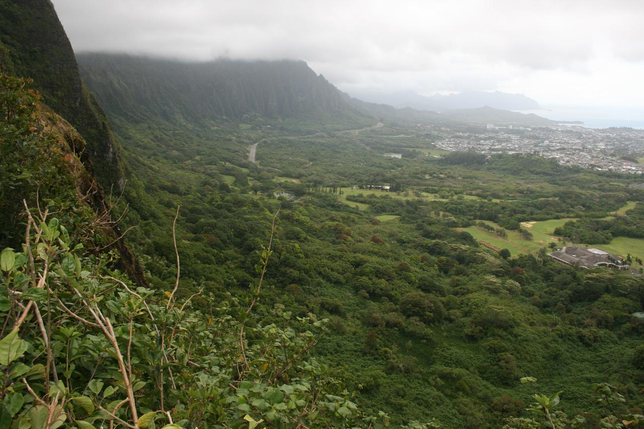 Nuʻuanu Pali lookout 的栏杆、平台和 windward 方向的视野