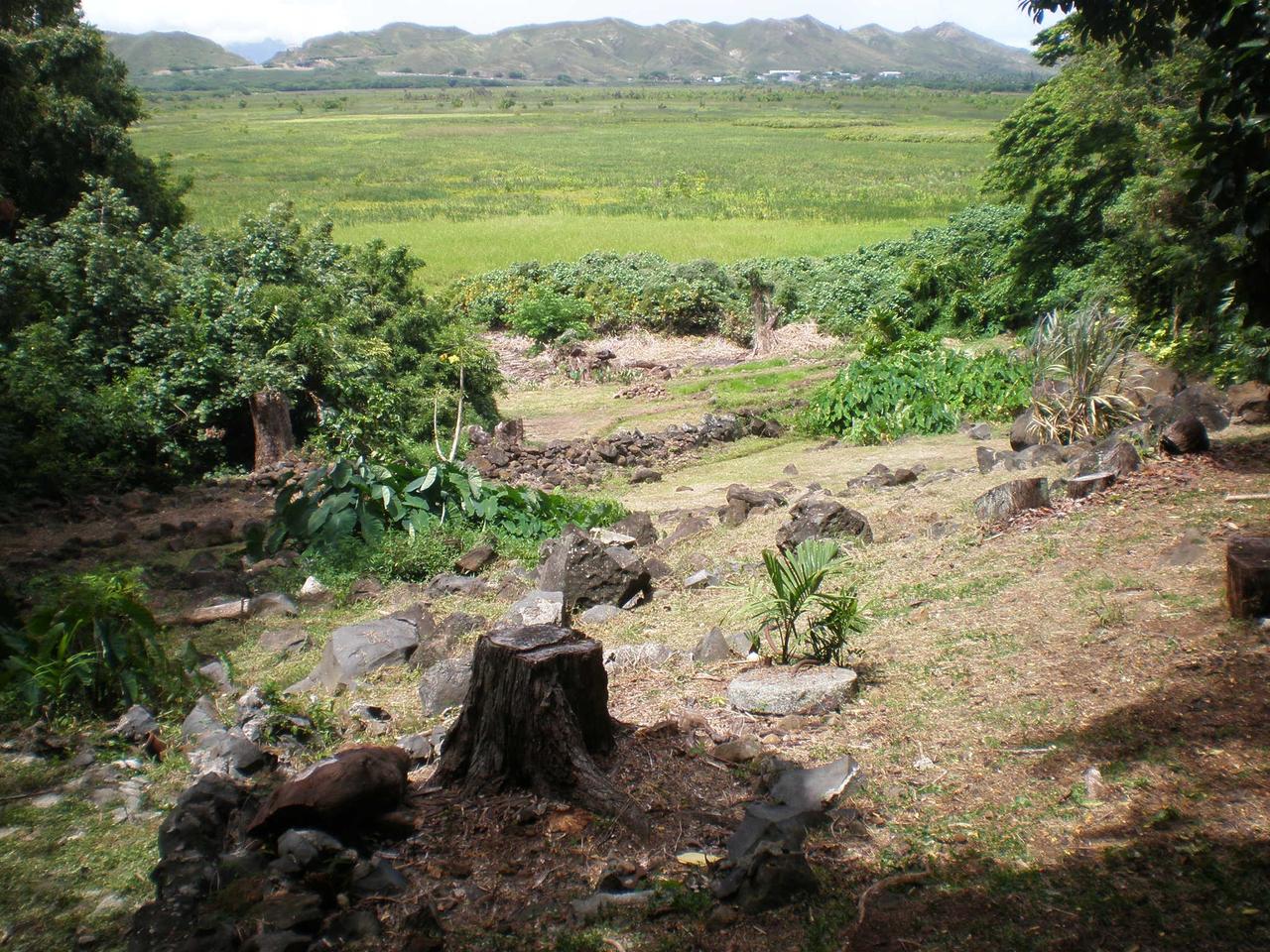 Garden view across Kawai Nui Marsh from Ulupō Heiau