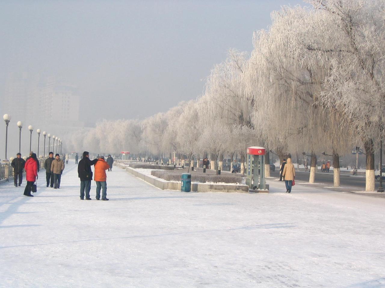 冬季雾凇景观