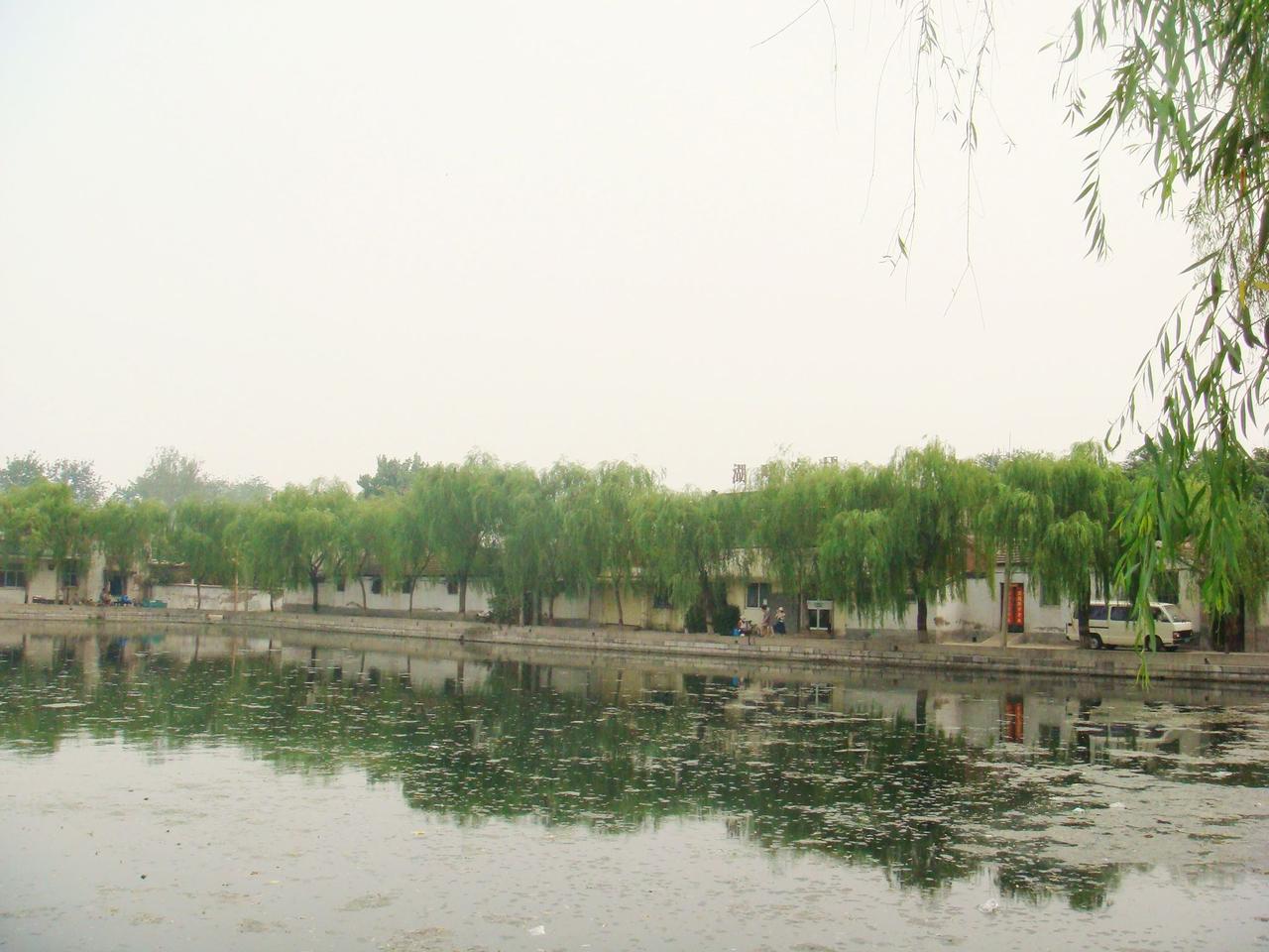 百花洲水面，西岸柳树倒映水中，东岸为整修后的老建筑