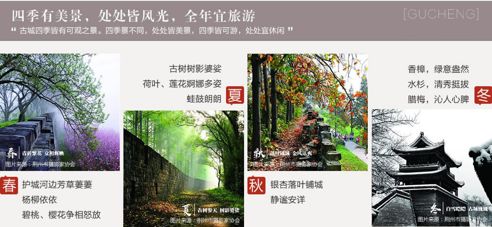荆州古城墙四季景色变化