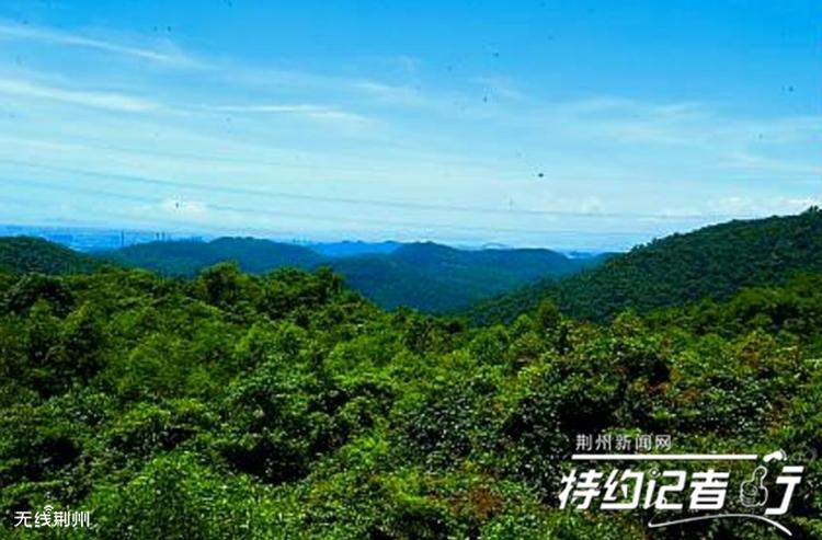 八岭山远景，起伏的山岭中隐藏着400多座古墓