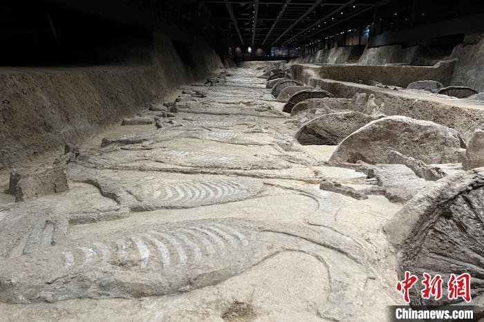 熊家冢出土玉器与青铜构件