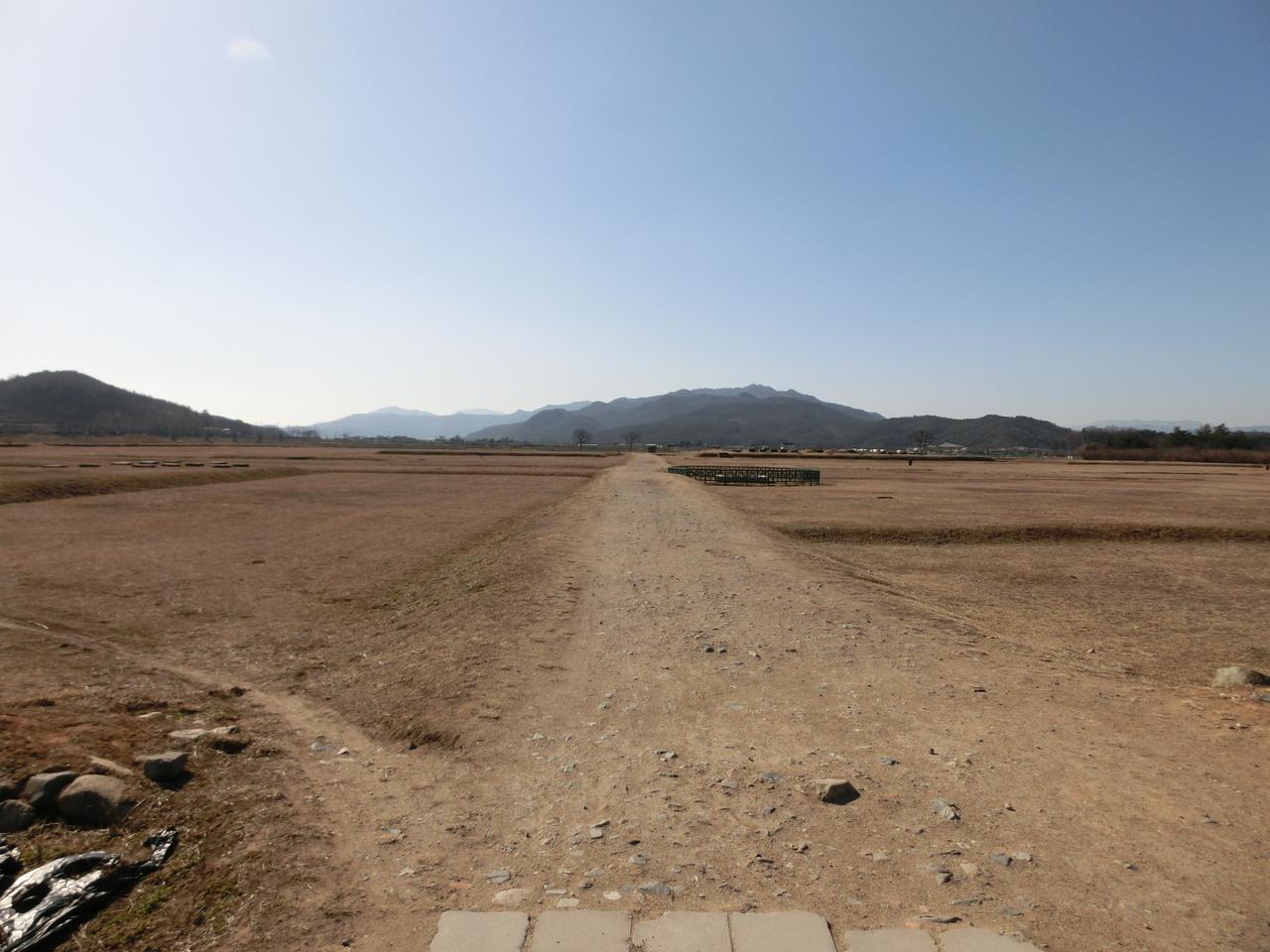 皇龙寺址础石排列全景