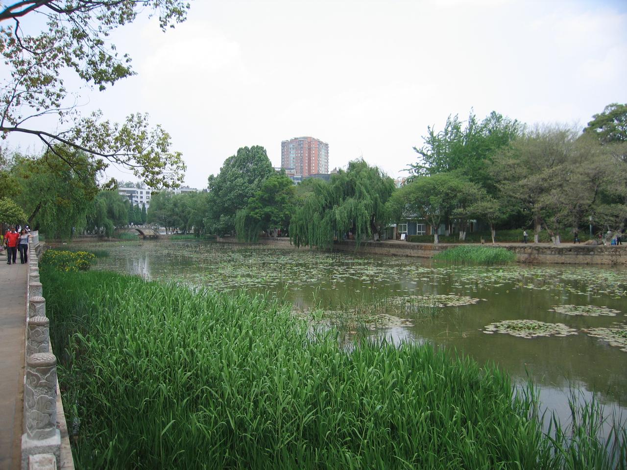 翠湖边的城市街道，战时大学城的地理核心