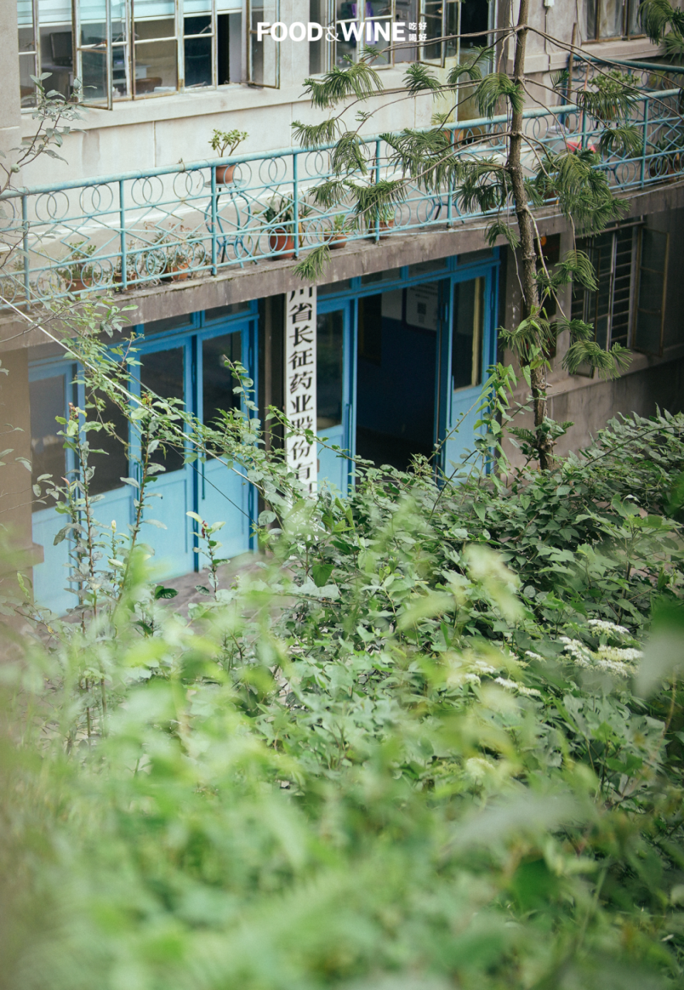 长征制药厂办公楼入口