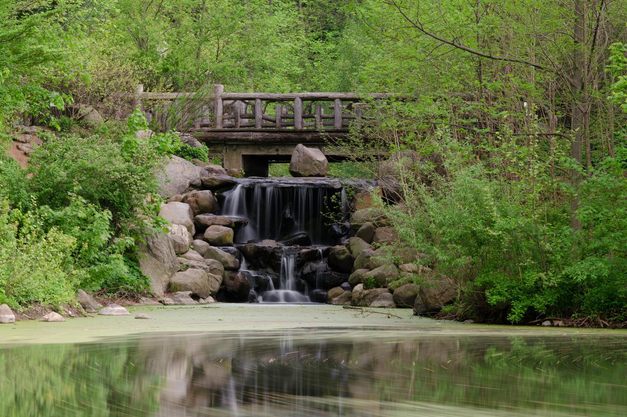 Ravine 内的人工溪流、瀑布和木桥