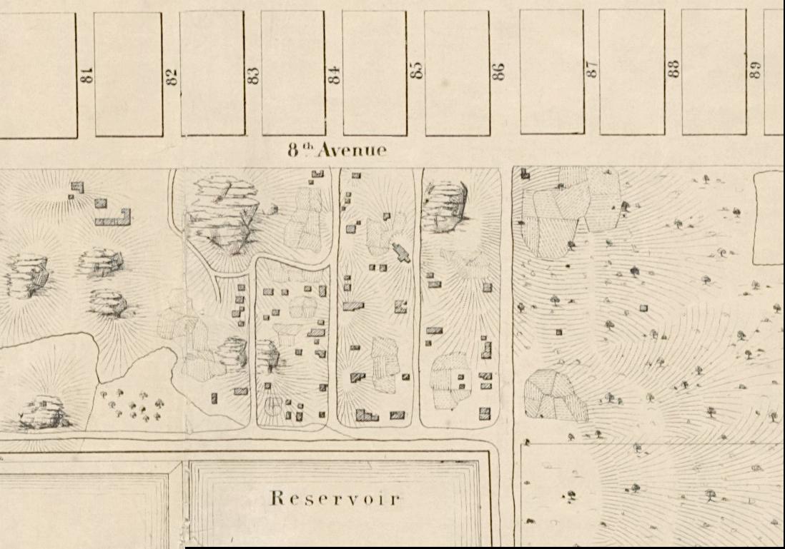 Viele 1856 年中央公园地形测量图上标注的 Seneca Village