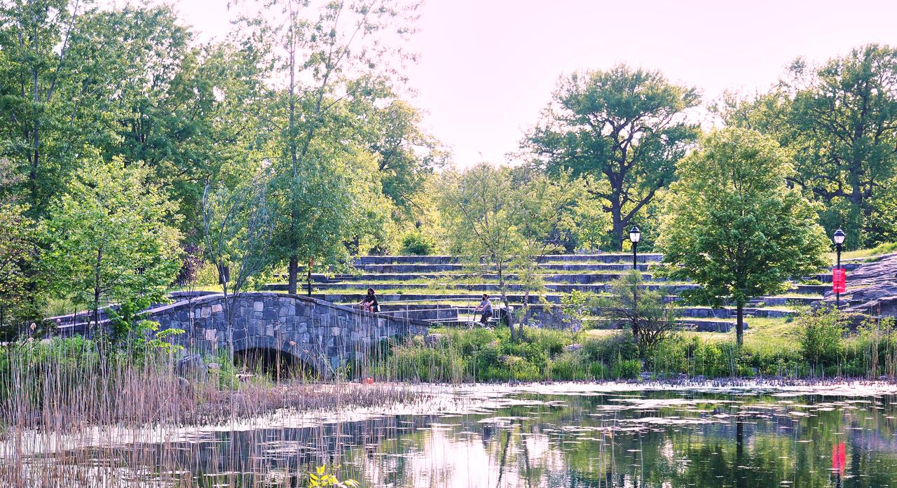Crotona Park 的 Indian Lake 石桥和露天剧场