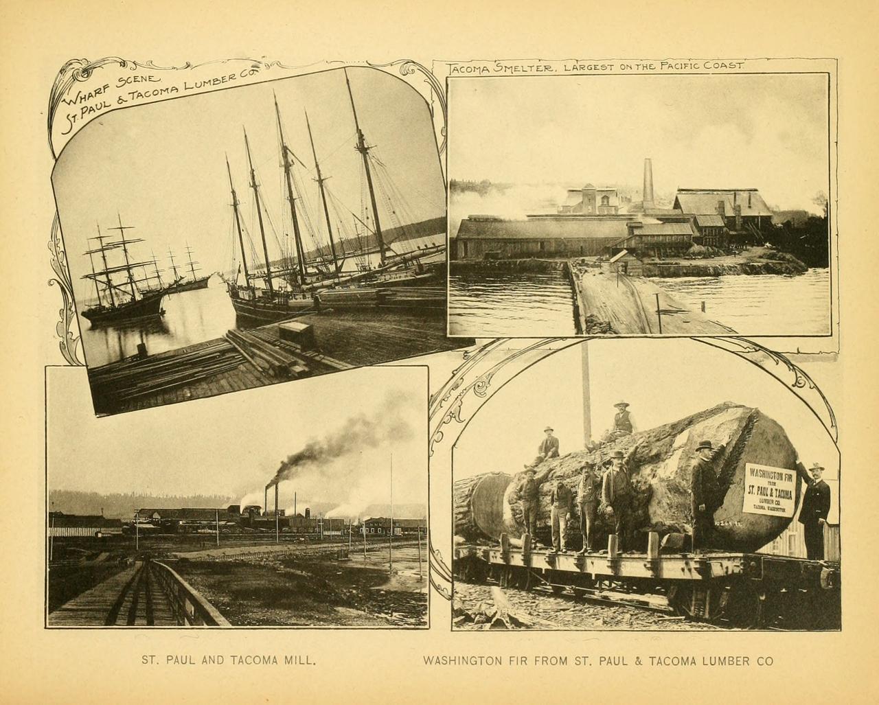1900 年 Tacoma Smelter 与 St Paul/Tacoma 木材厂的全景