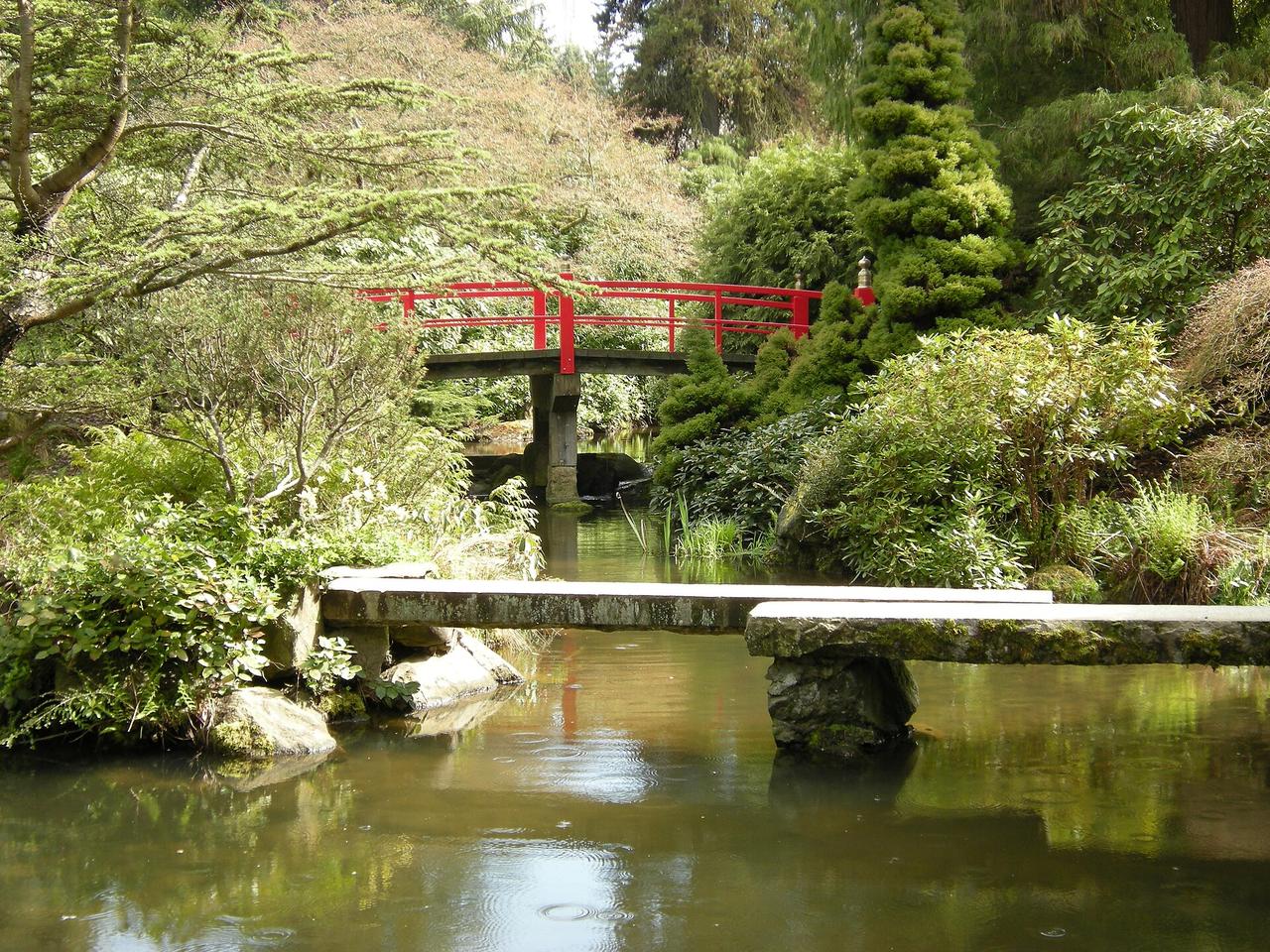 Kubota Garden 的红色 Heart Bridge 横跨 Mapes Creek