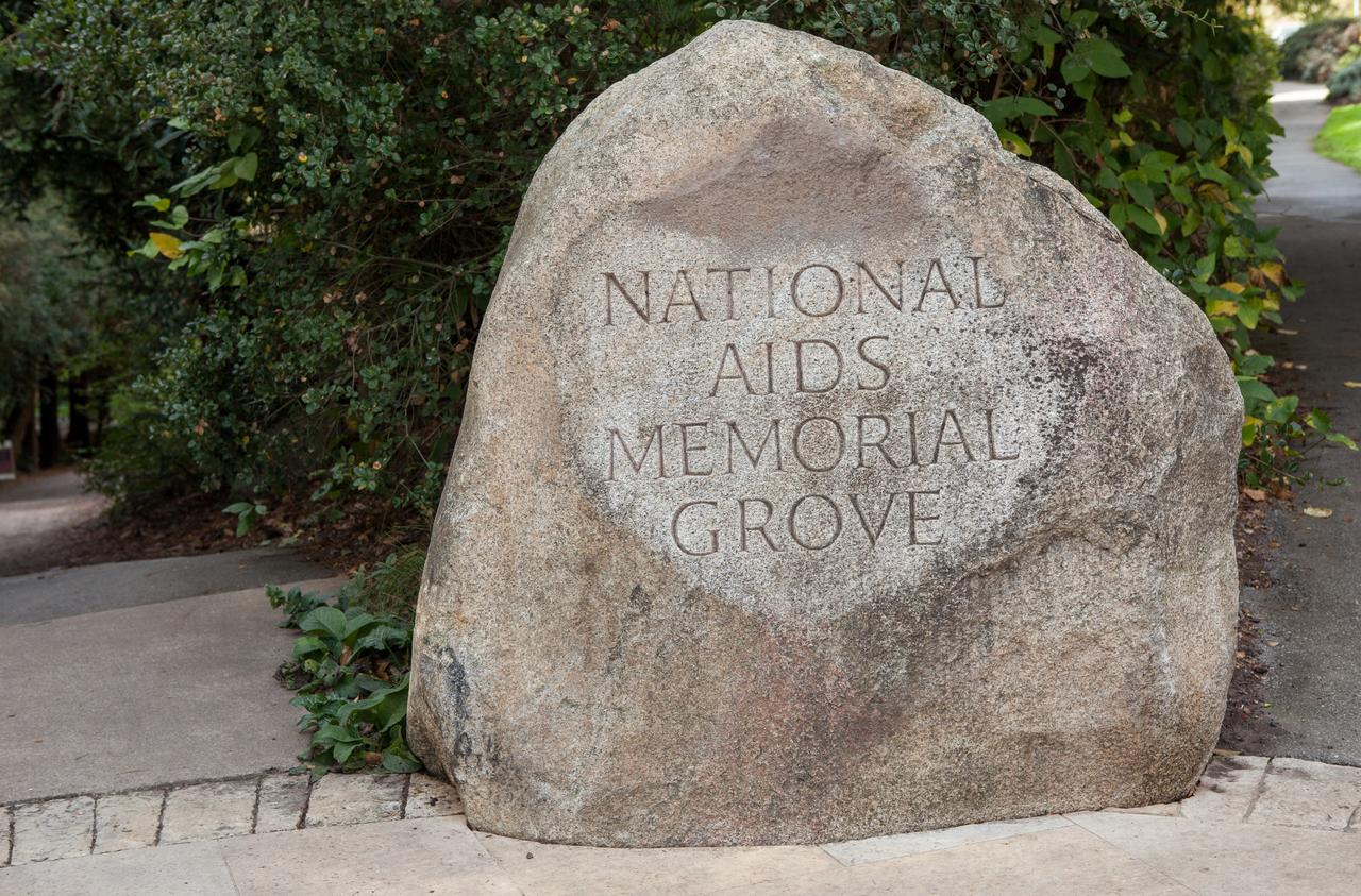 Grove 入口刻名石