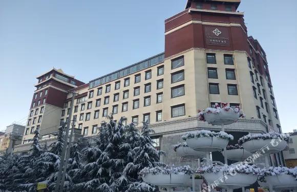 日喀则市区现代商业区街景，高层建筑与商铺沿街排列