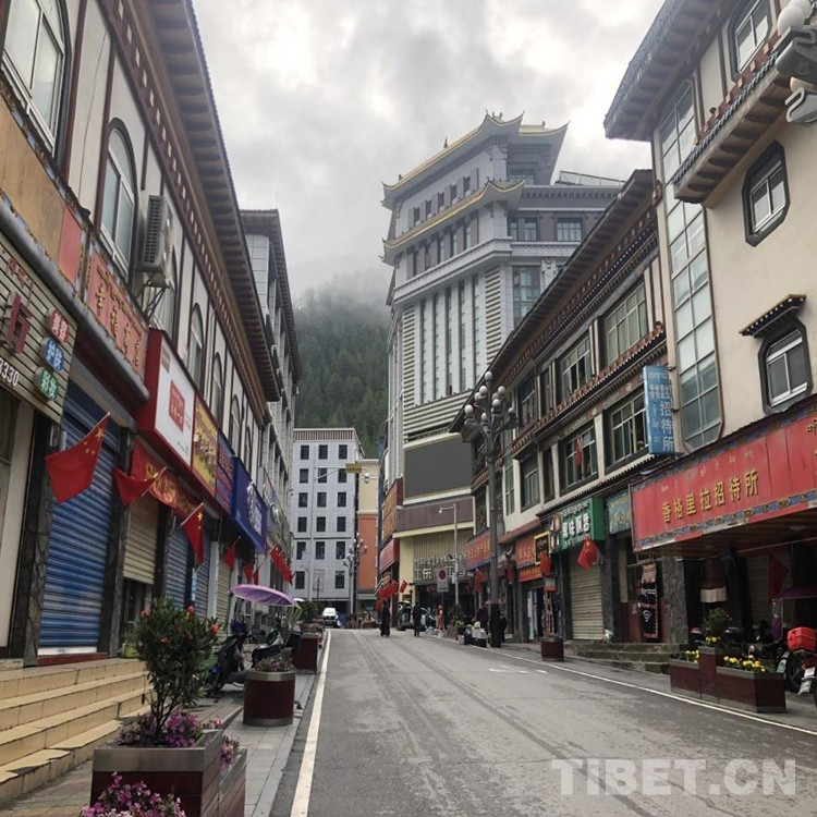 藏地传统驮运商队，历史上西藏与南亚之间的货物运输方式