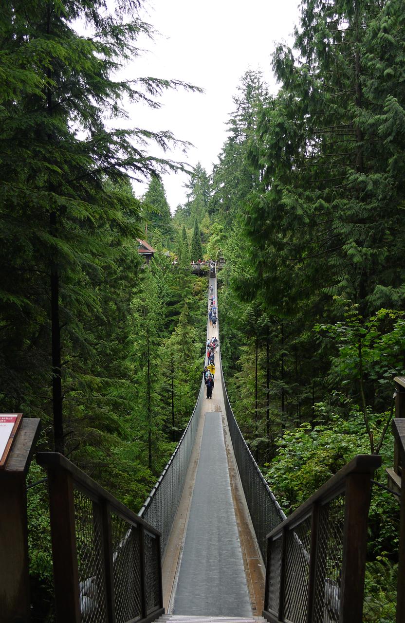 Capilano Suspension Bridge 全貌：137 米跨度、70 米落差、木面+钢索悬索结构