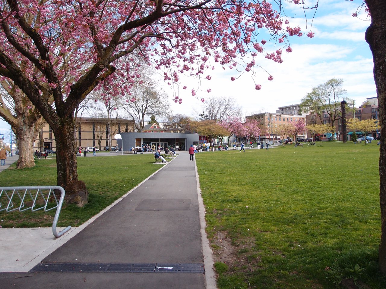 Oppenheimer Park，旧日侨社区的中心公共空间，棒球场景观可见