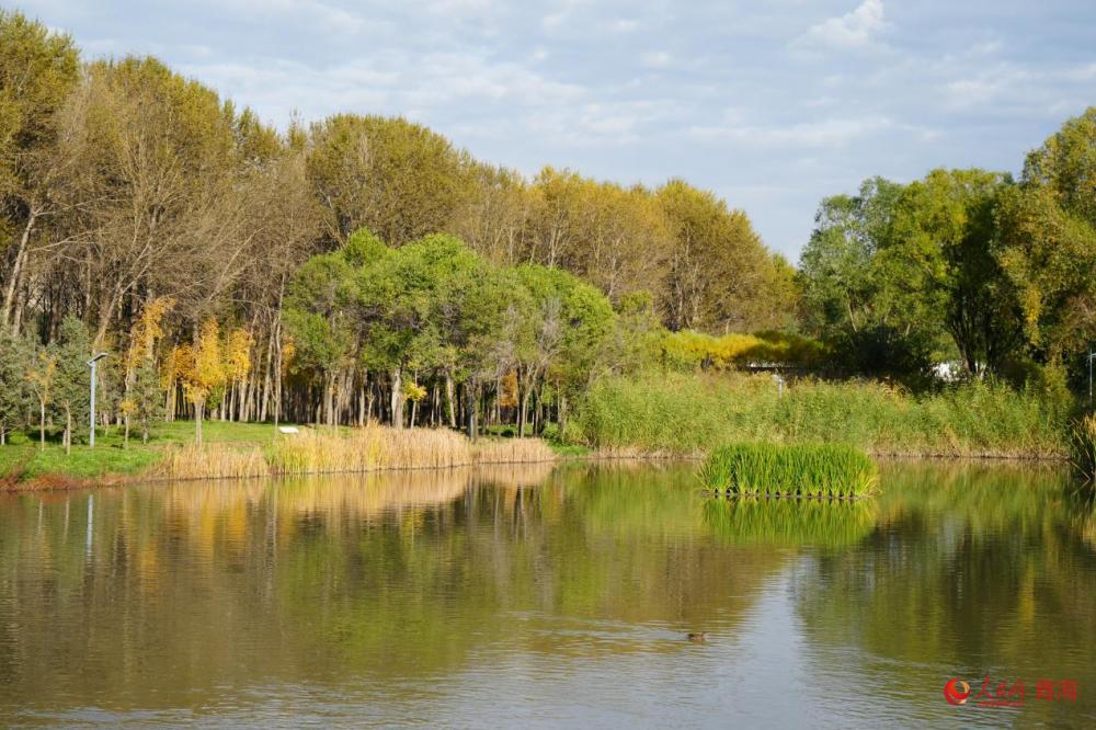 湟水河国家湿地公园的平静水面倒映着两岸绿树和城市建筑，是河谷生态系统修复的成果。