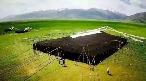 黑帐篷搭建在草原上，牦牛毛编织的传统帐篷