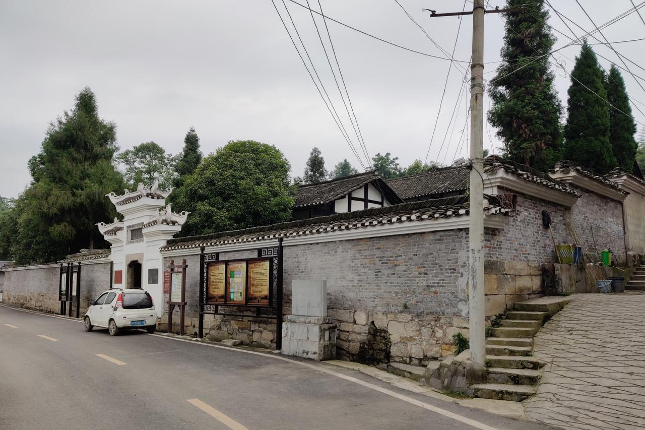 禹门山古柏林，数百年古柏覆满山坡